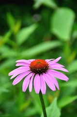 DSC_0672_副本.jpg