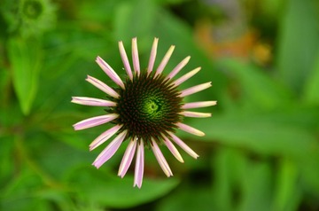 DSC_0658_副本1.jpg