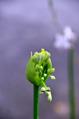 DSC_0671_副本.jpg