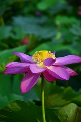 DSC_0872_副本.jpg