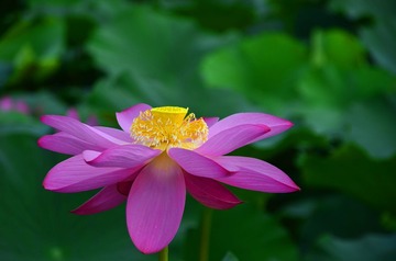 DSC_0834_副本.jpg