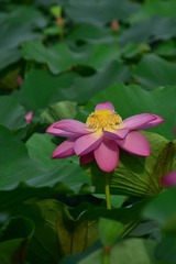 DSC_0881_副本.jpg