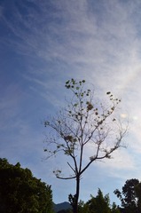 DSC_1366_副本.jpg