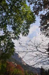 DSC_7183_