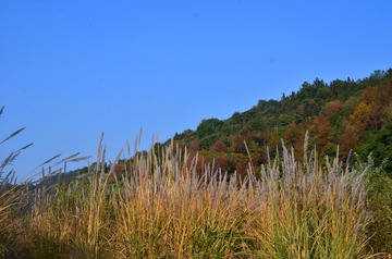 DSC_7440_