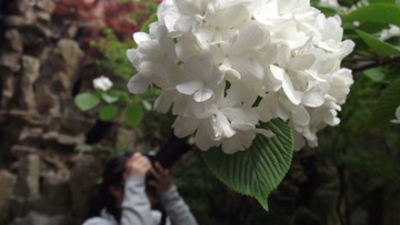 DSCF3875.JPG