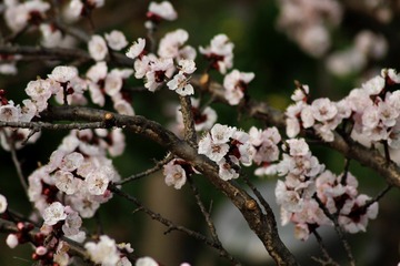 5A6273C8-C9D0-44E7-B1C3-F156814FF058/L0/001