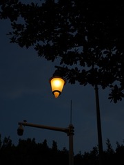 44479D1D-27BA-441A-8582-DE1361017C10/L0/001