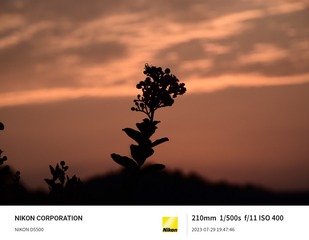 1000005163