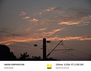 1000005166