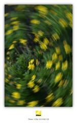 1000006413