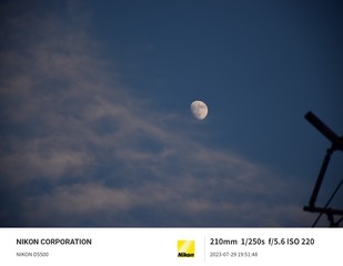 1000005164