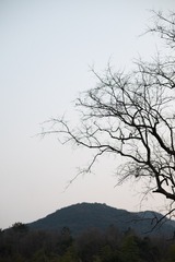 96B0BDCC-DE81-4100-A3C0-A7A3023DFFDC/L0/001