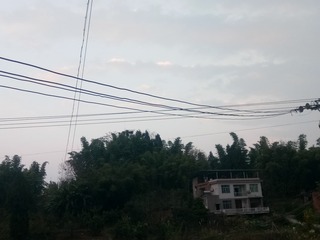 2294907