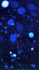 8894B207-EF6A-4CC4-B6E0-D3874AB81EAA/L0/001