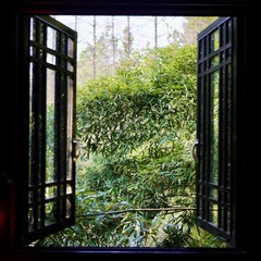 67007F84-3F42-4086-A939-C06861AB8908/L0/001