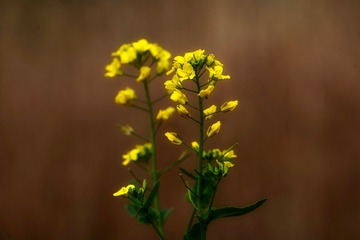 63D6461C-F378-40A3-BC84-810A93FCEC61/L0/001