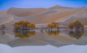 1174578