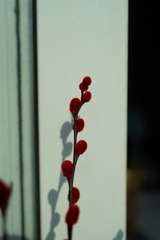 9B2E6357-CE02-426E-8F4B-D0A32150E26D/L0/001