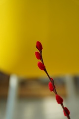 646C3E4E-7052-4685-BCFD-6C51CB326514/L0/001