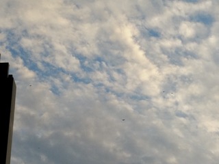 1175067