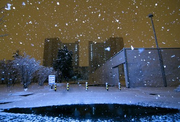 DSC_0369.jpg