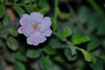 373C1813-7B51-4771-8F51-935FB336E95E/L0/001