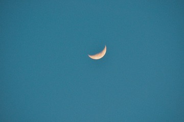 51067866-87ED-4EDE-BE1C-79541DFF1D06/L0/001