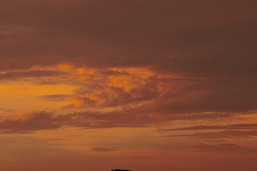 81BCEA14-9AA7-41F9-B88B-D1D181C5C5EB/L0/001