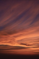 A1816263-8F7D-4959-B94D-0138F72FF0C6/L0/001