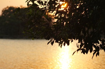 DSC004711.jpg
