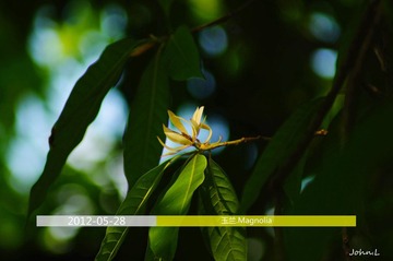 DSC01454副本_副本剪切 补光.jpg