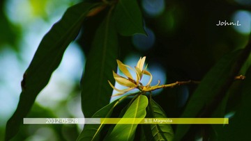 DSC01454副本_副本剪切 补光2_副本4.jpg