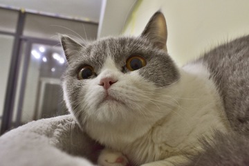 6041
