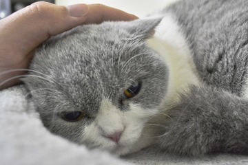 6034