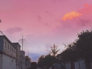 127561