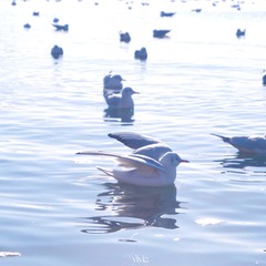 A0522DEE-959B-45F5-8450-7F4C5092621F/L0/001