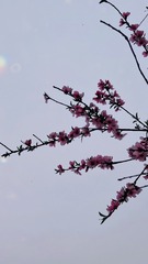 7C2F15DC-B1ED-4C4F-8B90-DB002A3FB20B/L0/001