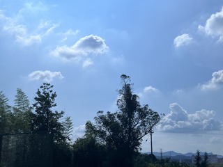 046F9626-C373-4A7B-A190-DA98AAF8BC46/L0/001