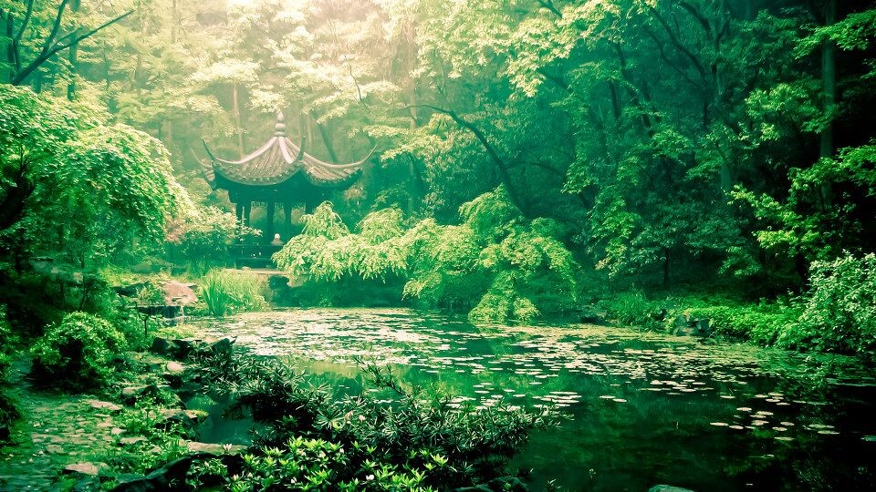 烟雨虎跑<br />
春末清晨，烟雨虎跑