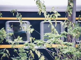 C6C5F443-46CF-43DD-93A3-D14843843ED9/L0/001