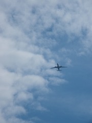 3E32F339-CC8C-4990-8A04-9DD0EDC79D21/L0/001