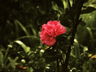 B5052451-0F50-4C49-986A-5D2CF7642937/L0/001