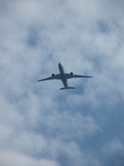 442AC6E6-D20C-459F-9C5E-E916113E4A1E/L0/001