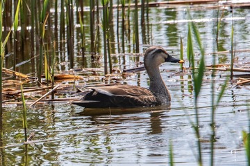 _DSC1578-1