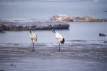 _DSC7280-1