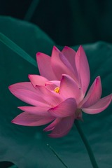 14840118-D82F-465C-973F-B6F27FDE81BB/L0/001