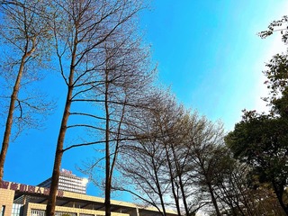51B47D9D-1DF0-4C1E-ABD1-9584B45038EA/L0/001