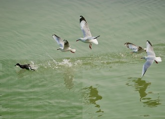 B3AF7117-689C-46C3-A023-7898037B18B7/L0/001