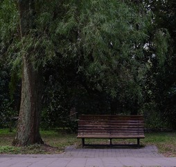 99CF9AC2-4815-4157-A4AC-899D24F27DED/L0/001